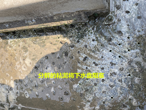  循环冷却水系统中存在着哪些危害-水垢的形成-粘泥的形成与危害性