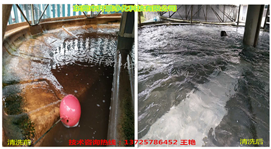 循环水系统的清洗和预膜-东莞哪家公司可以做水处理-冷却水塔如何清洗和预膜